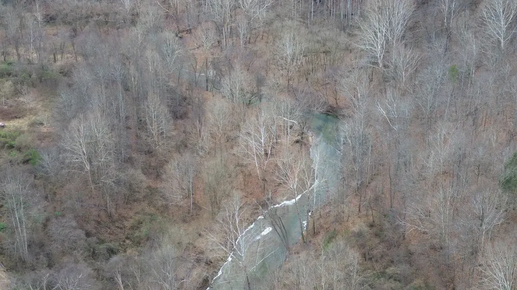 175A Improvement Branch Jackson KY 41339