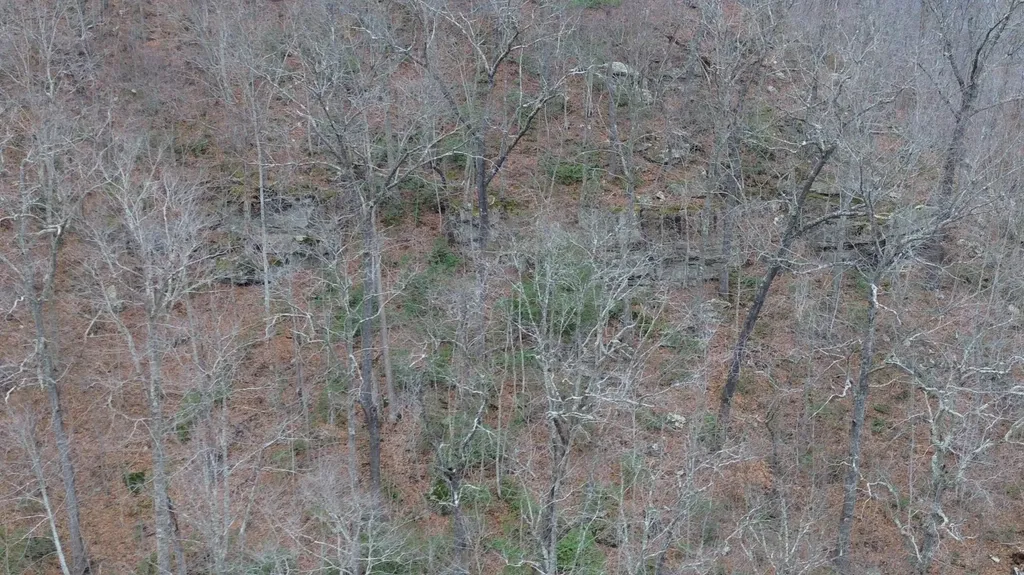 175A Improvement Branch Jackson KY 41339