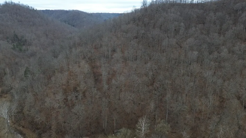 175A Improvement Branch Jackson KY 41339