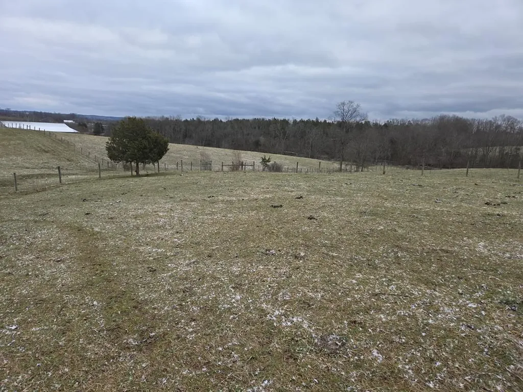 1233 Logan Run Road Flemingsburg KY 41041