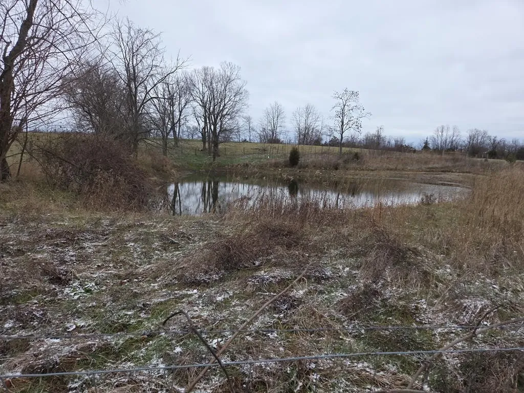 1233 Logan Run Road Flemingsburg KY 41041
