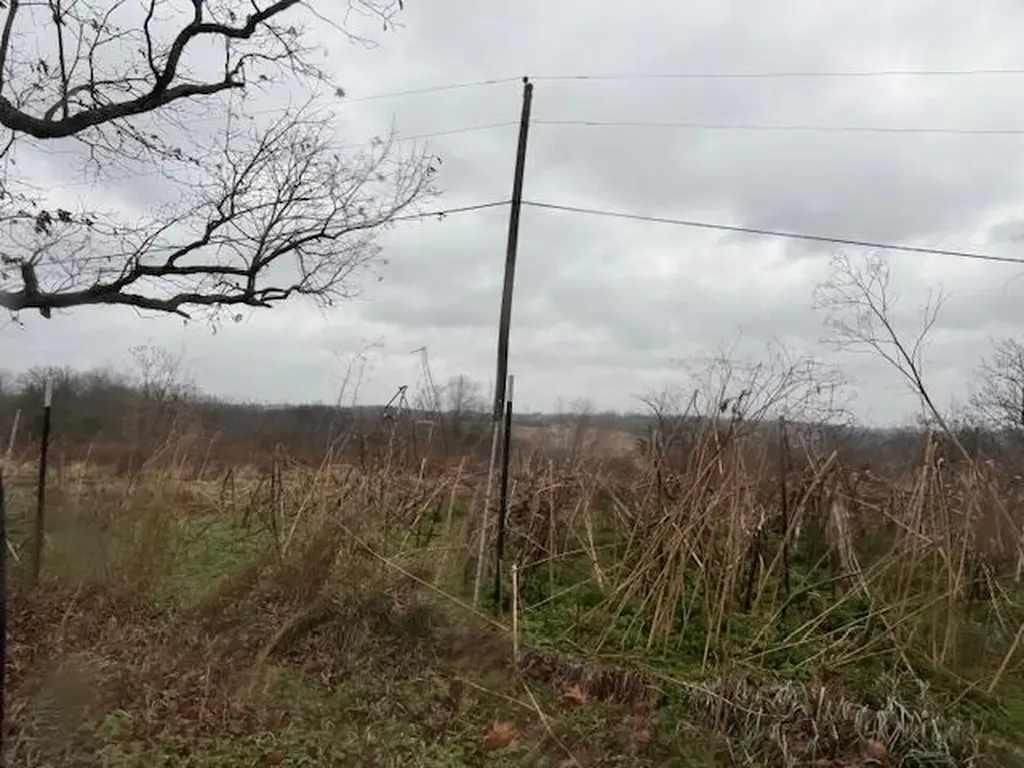 0 N Lang Road Berry KY 41003