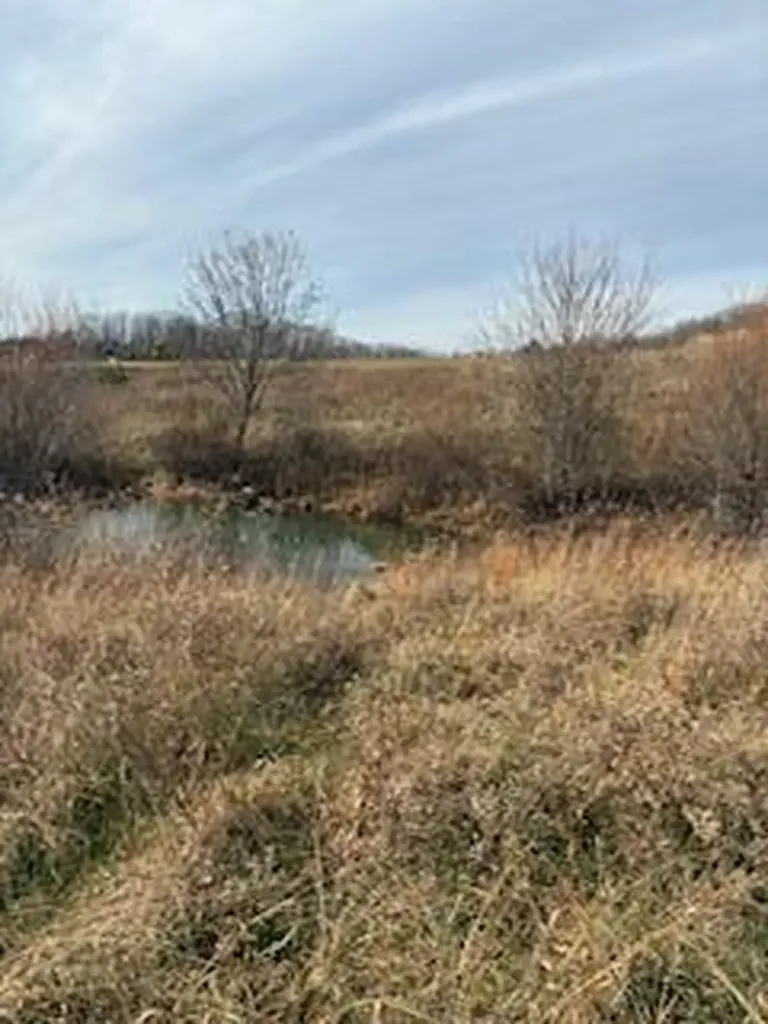 563 Moores Creek Greenhill Road Annville KY 40402