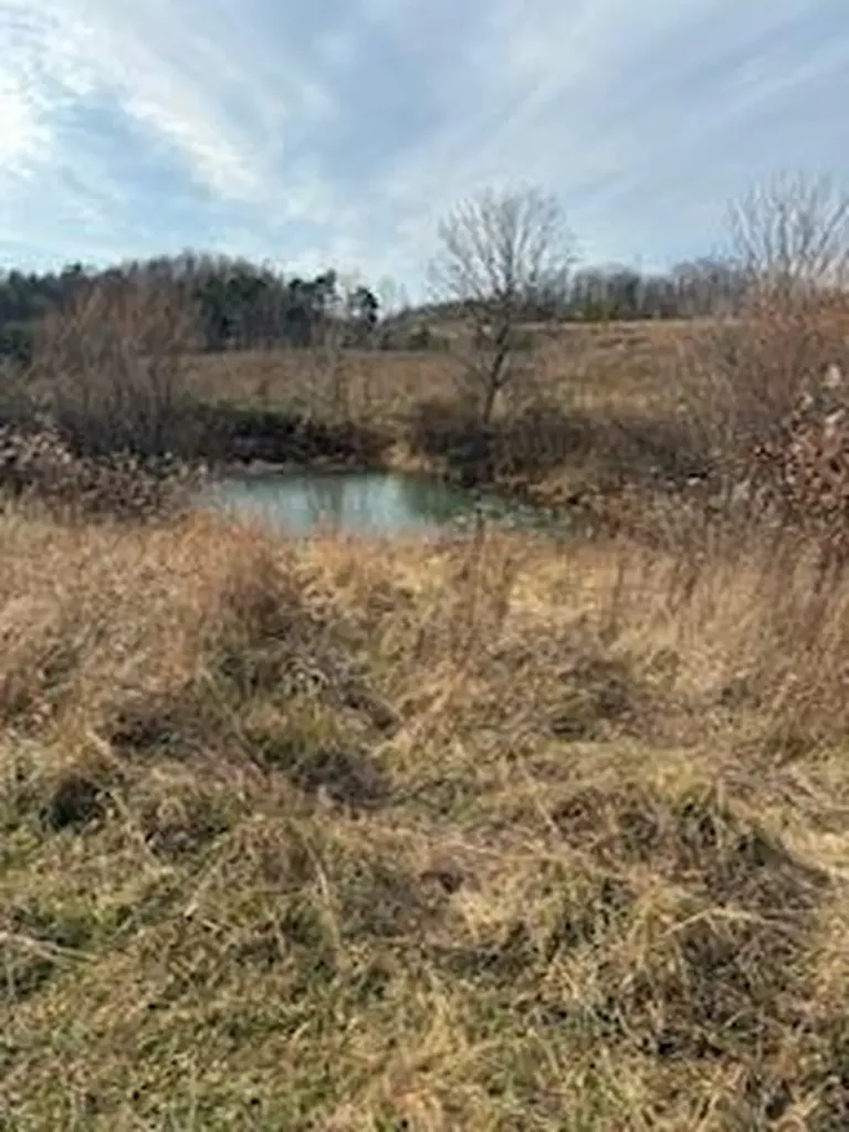 563 Moores Creek Greenhill Road Annville KY 40402