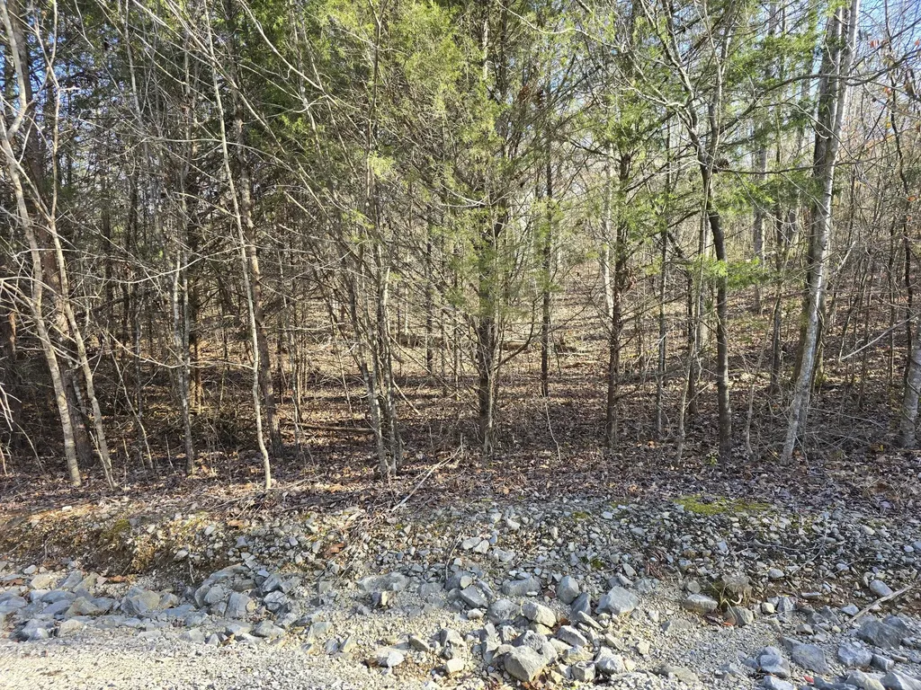 Lot 18r N Roberts Bend Road Burnside KY 42519