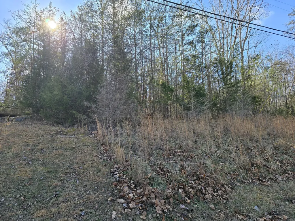 Lot 18r N Roberts Bend Road Burnside KY 42519