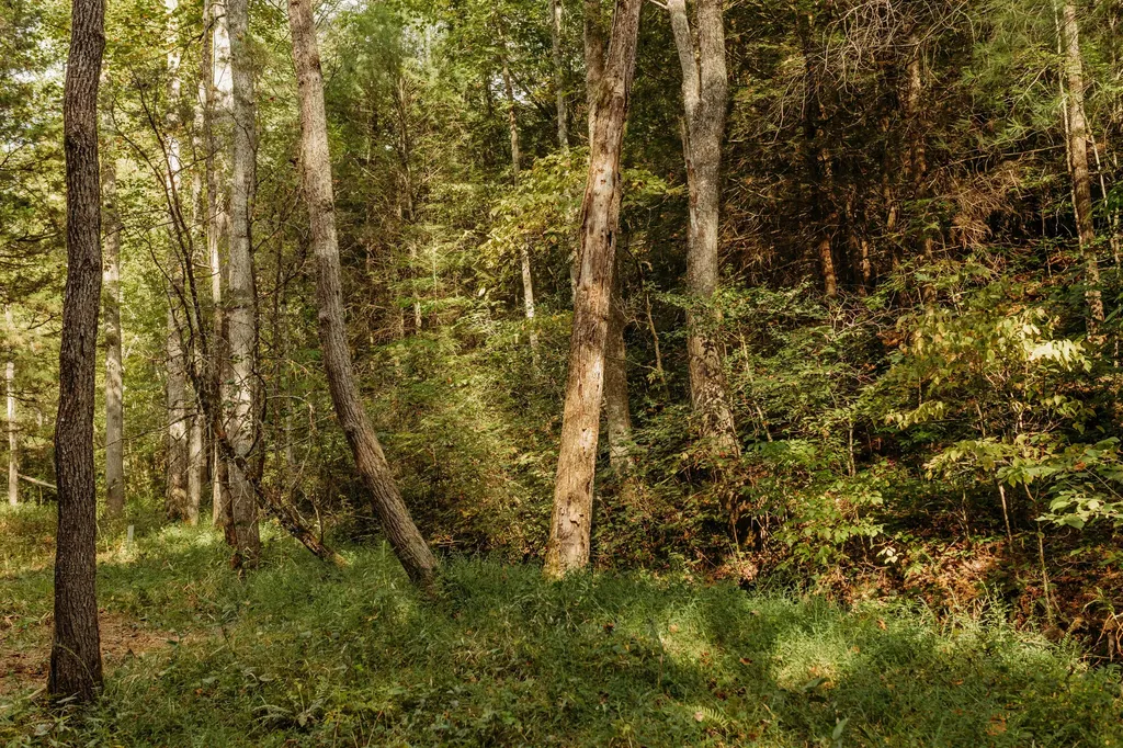 Lot 34 Lower Hollertop Road Campton KY 41301