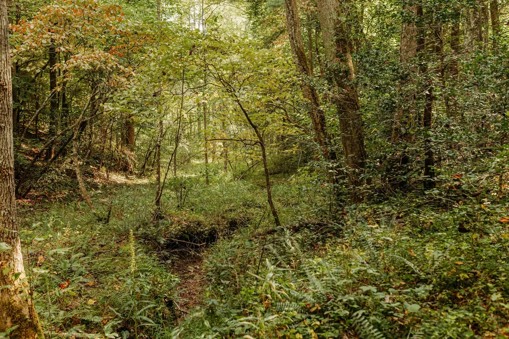 Lot 34 Lower Hollertop Road Campton KY 41301