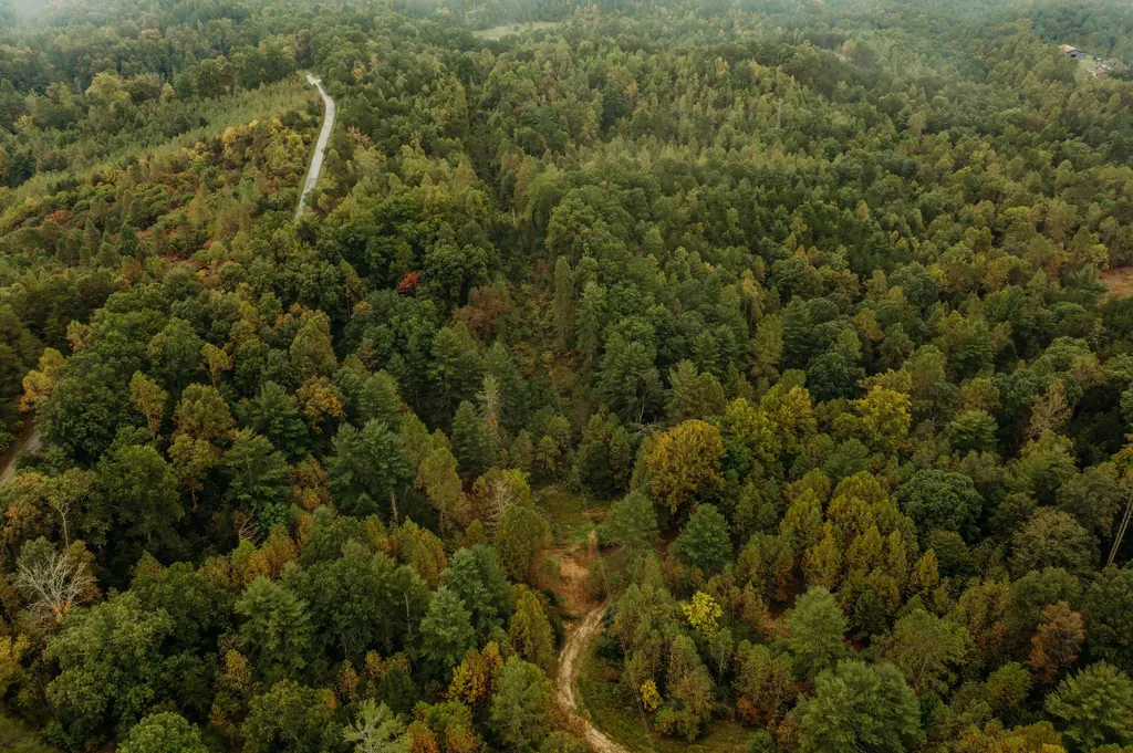 Lot 34 Lower Hollertop Road Campton KY 41301