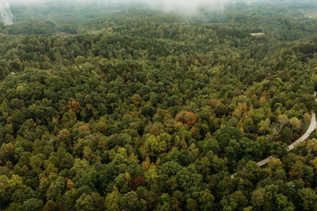 Lot 34 Lower Hollertop Road Campton KY 41301