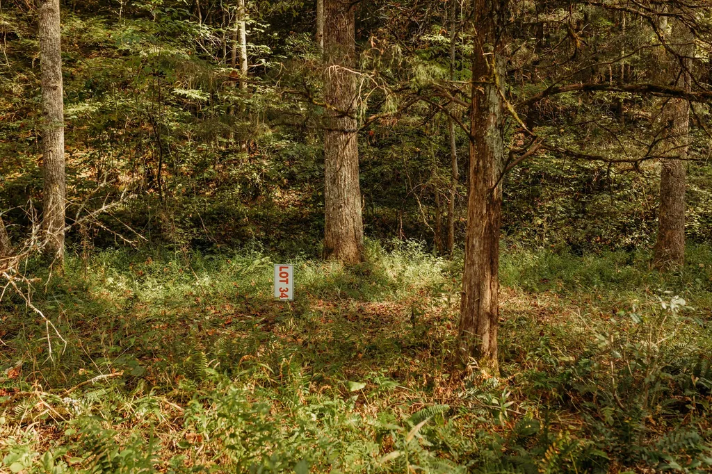 Lot 34 Lower Hollertop Road Campton KY 41301