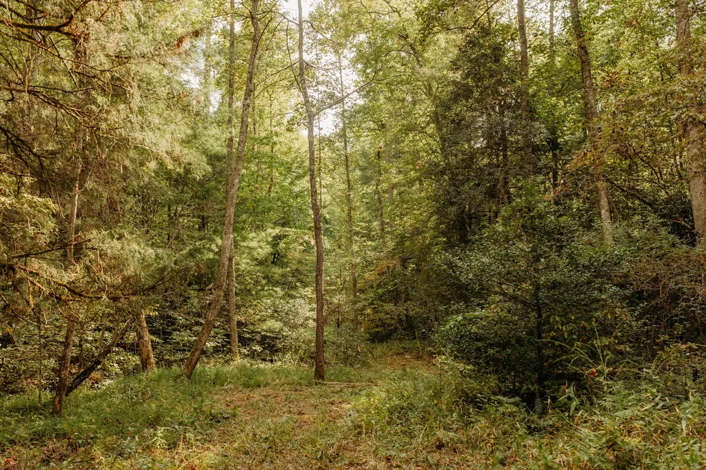 Lot 34 Lower Hollertop Road Campton KY 41301