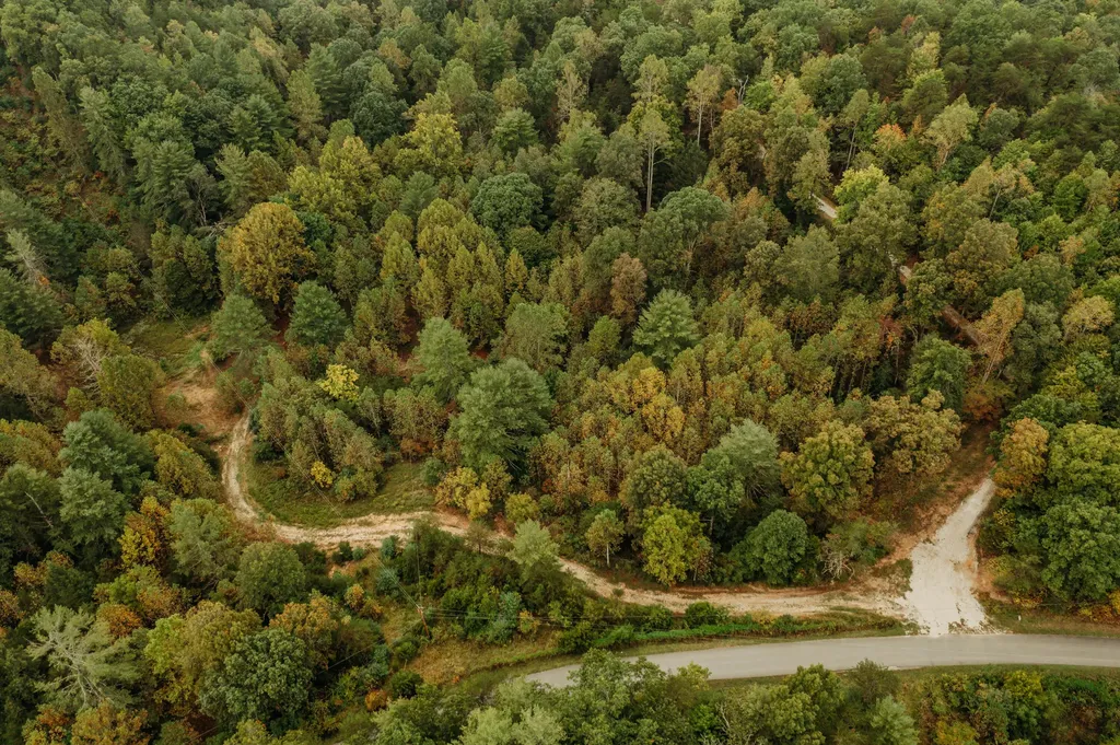 Lot 33 Lower Hollertop Road Campton KY 41301