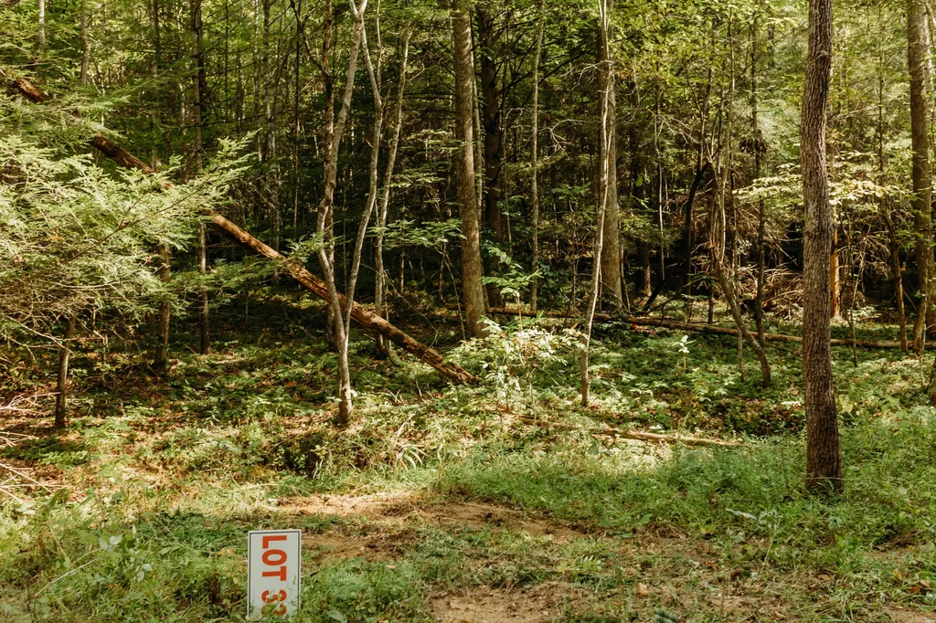 Lot 33 Lower Hollertop Road Campton KY 41301