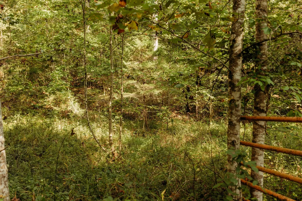 Lot 32 Lower Hollertop Road Campton KY 41301