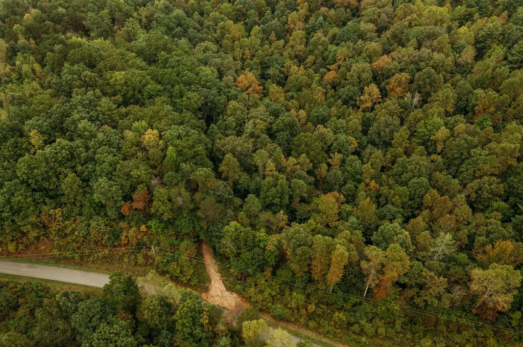 Lot 32 Lower Hollertop Road Campton KY 41301