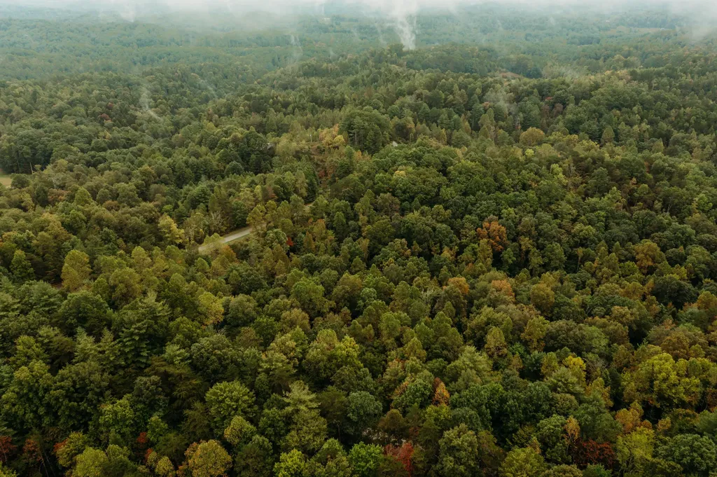 Lot 32 Lower Hollertop Road Campton KY 41301