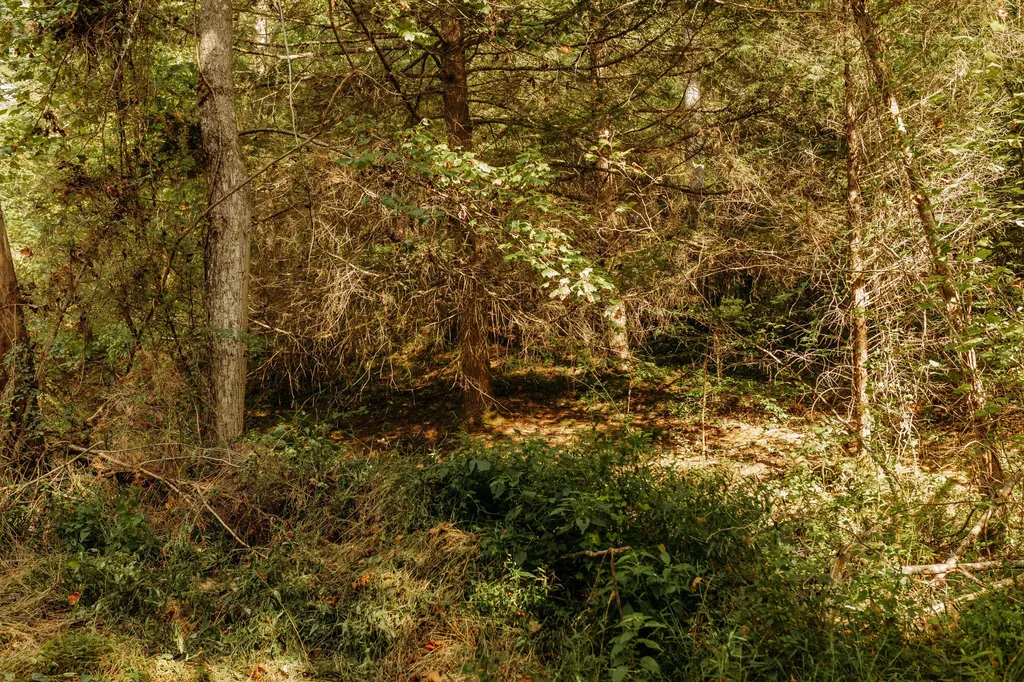 Lot 32 Lower Hollertop Road Campton KY 41301