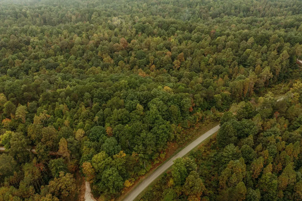 Lot 31 Lower Hollertop Road Campton KY 41301