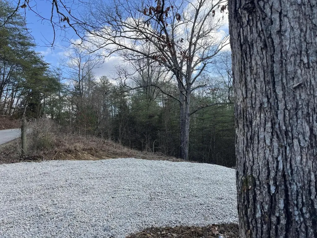 Lot 29 Lower Hollertop Road Campton KY 41301