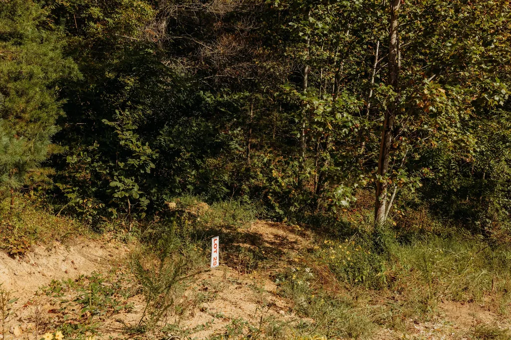 Lot 29 Lower Hollertop Road Campton KY 41301