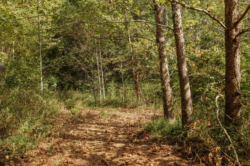 Lot 29 Lower Hollertop Road Campton KY 41301
