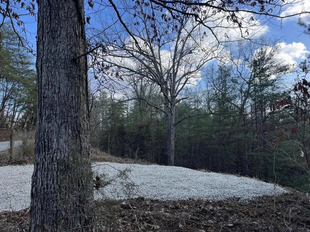 Lot 29 Lower Hollertop Road Campton KY 41301