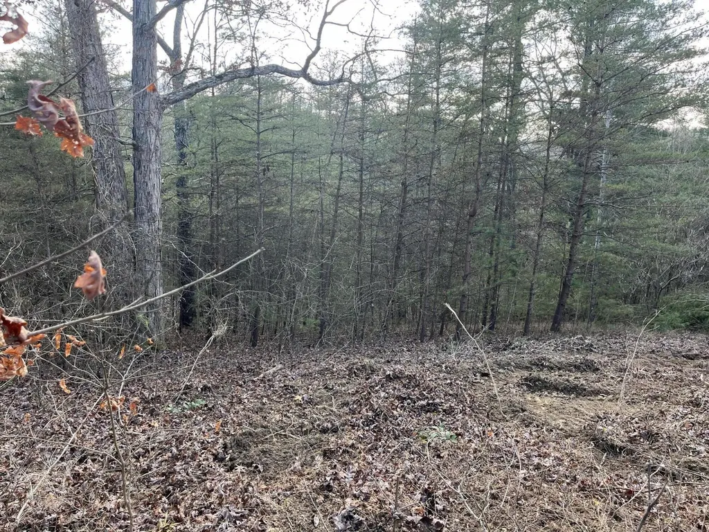 Lot 29 Lower Hollertop Road Campton KY 41301