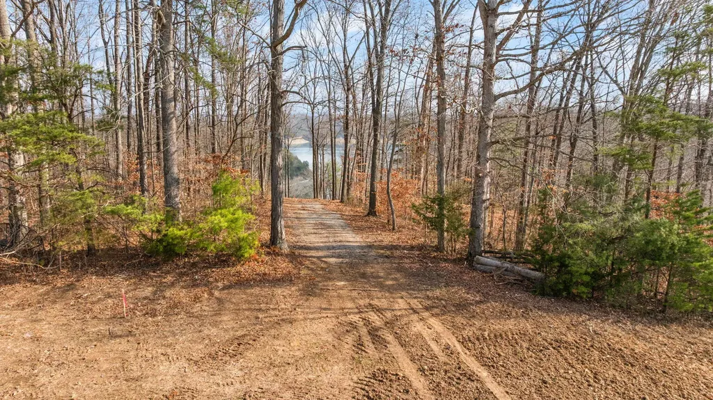 Tract 1 Highway 196 Nancy KY 42544
