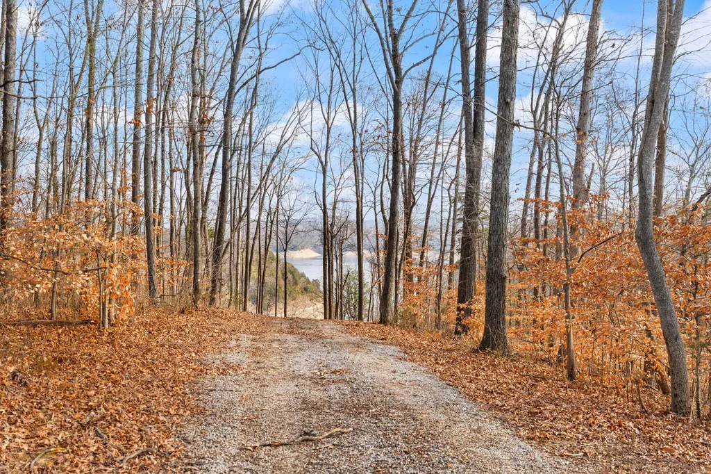 Tract 2 Highway 196 Nancy KY 42544