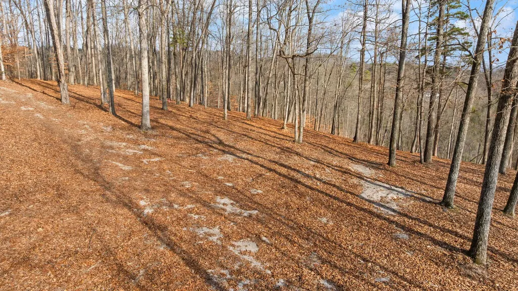 Tract 2 Highway 196 Nancy KY 42544