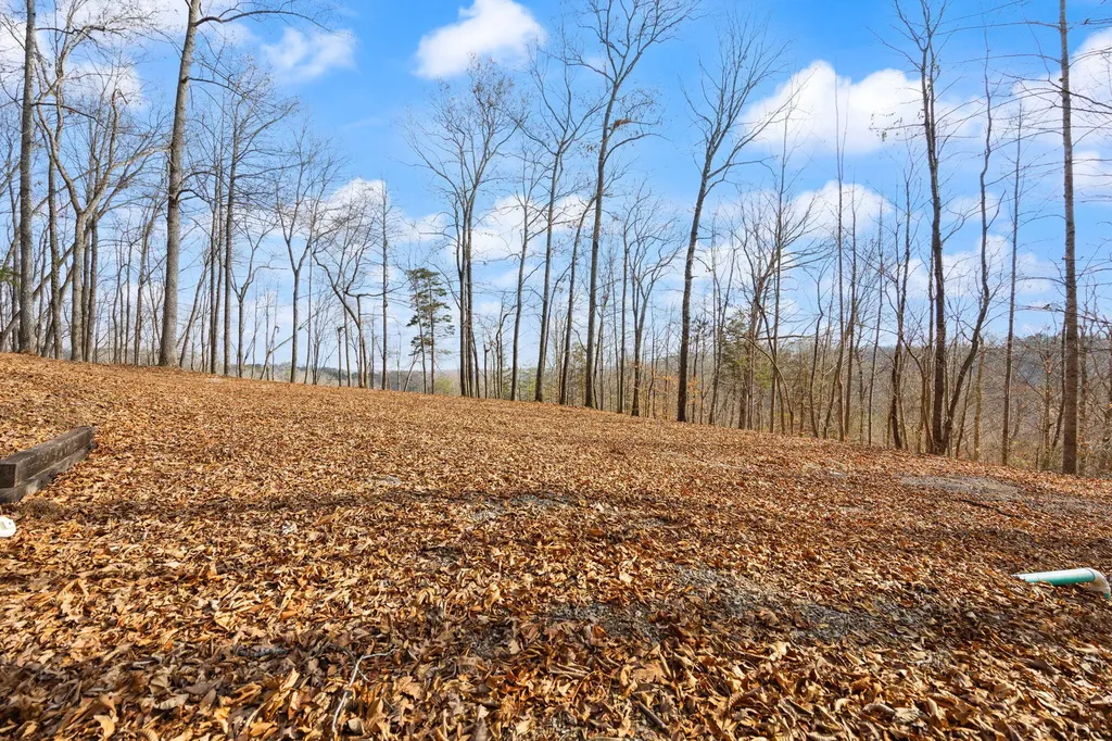 Tract 2 Highway 196 Nancy KY 42544