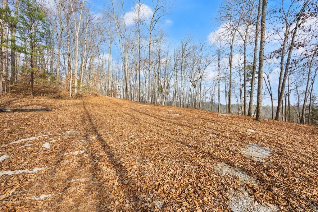 Tract 2 Highway 196 Nancy KY 42544