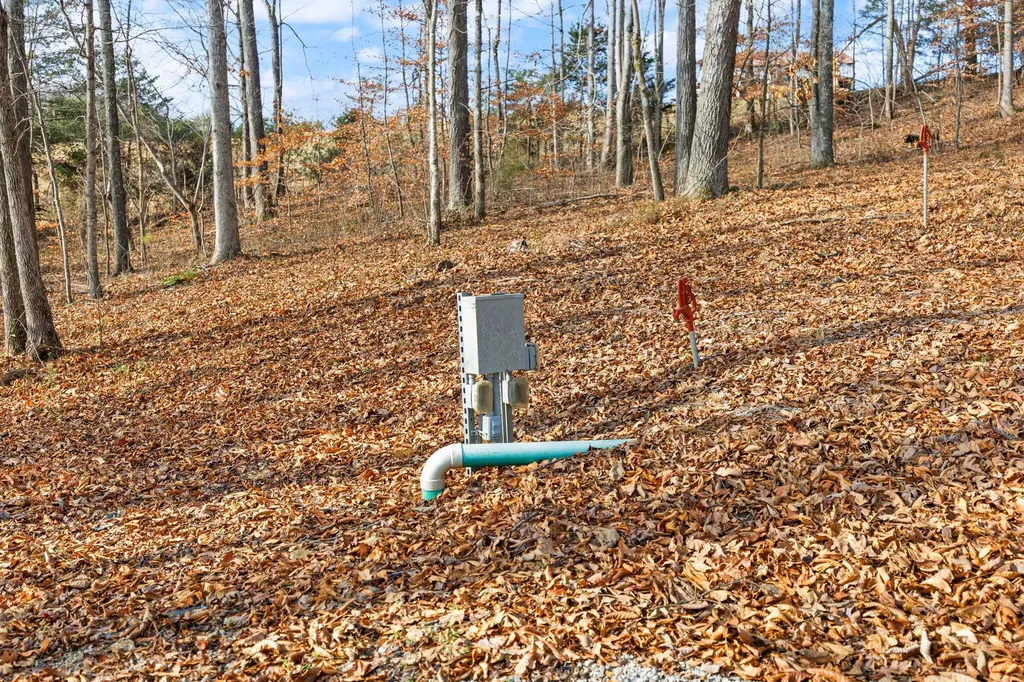 Tract 2 Highway 196 Nancy KY 42544