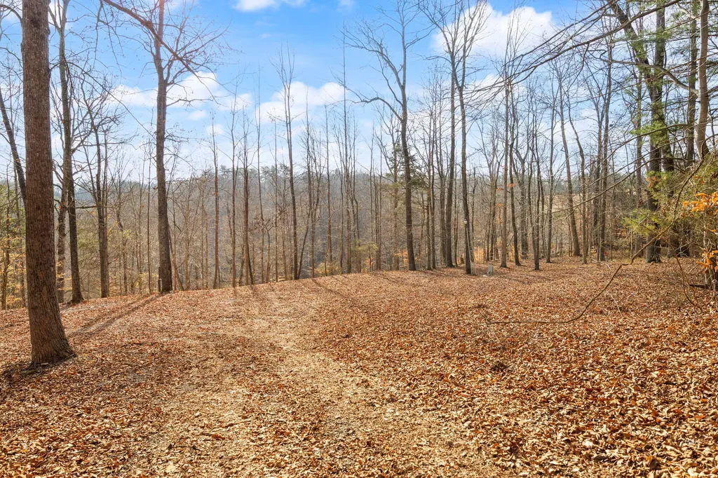 Tract 2 Highway 196 Nancy KY 42544
