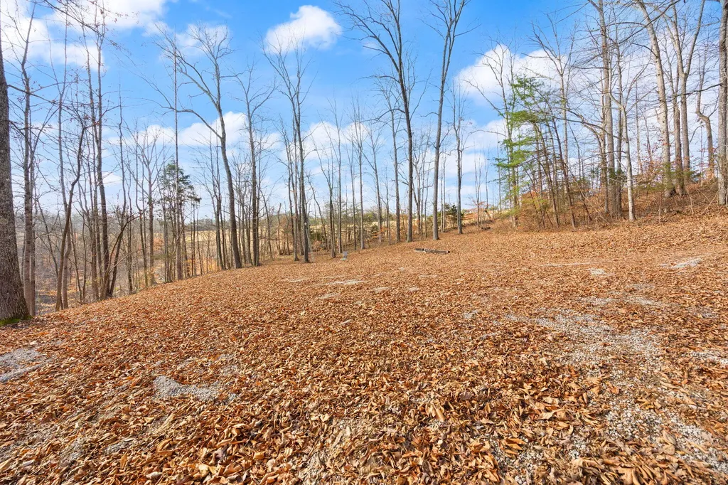 Tract 2 Highway 196 Nancy KY 42544