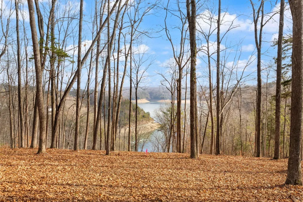 Tract 2 Highway 196 Nancy KY 42544
