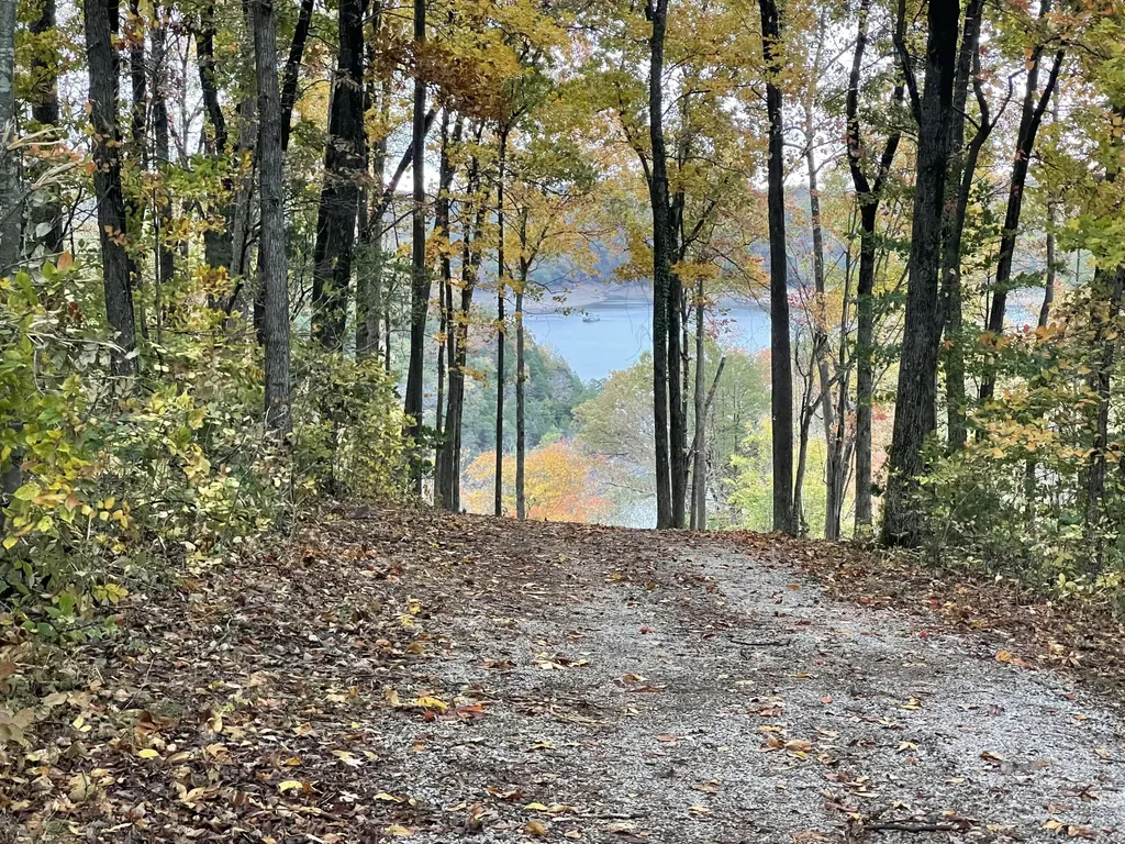 Tract 2 Highway 196 Nancy KY 42544