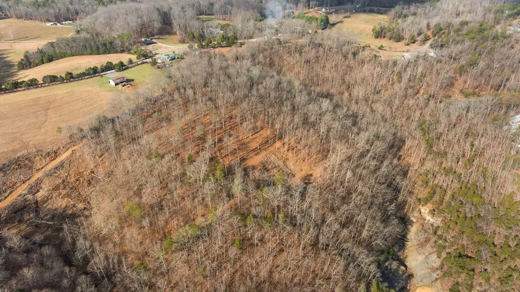 Tract 2 Highway 196 Nancy KY 42544
