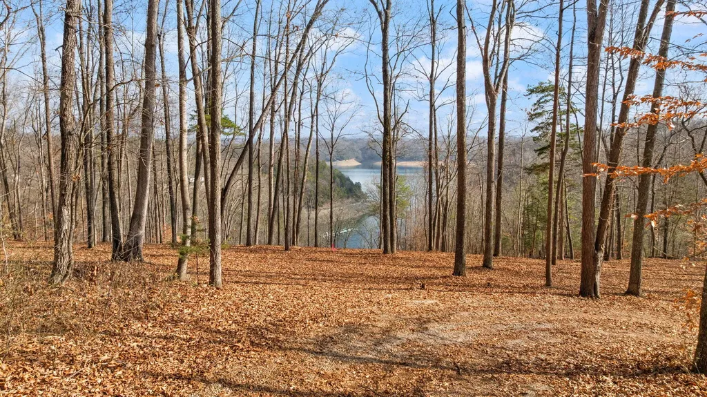 Tract 2 Highway 196 Nancy KY 42544
