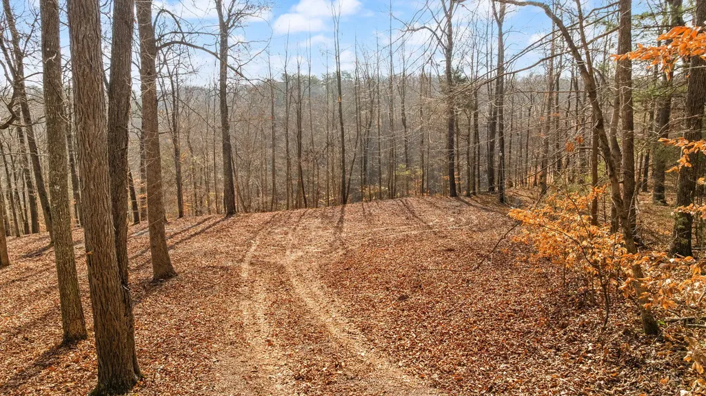 Tract 2 Highway 196 Nancy KY 42544