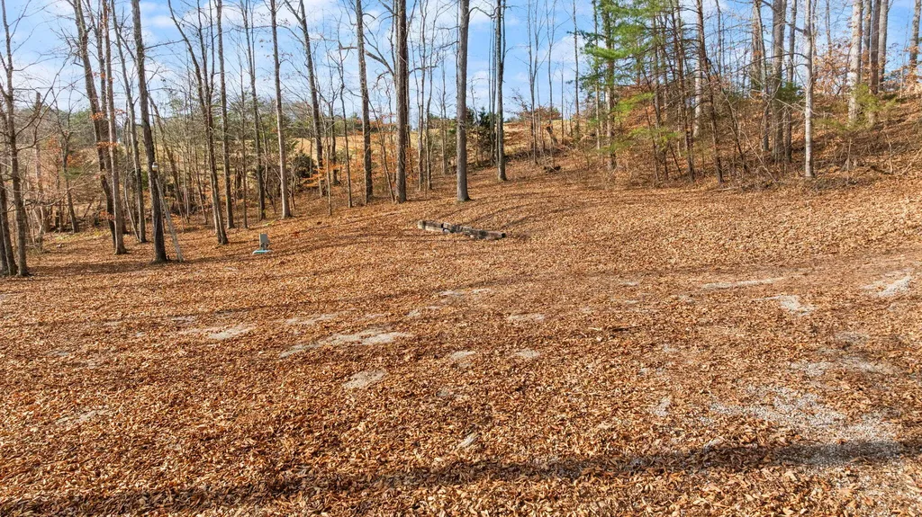 Tract 2 Highway 196 Nancy KY 42544