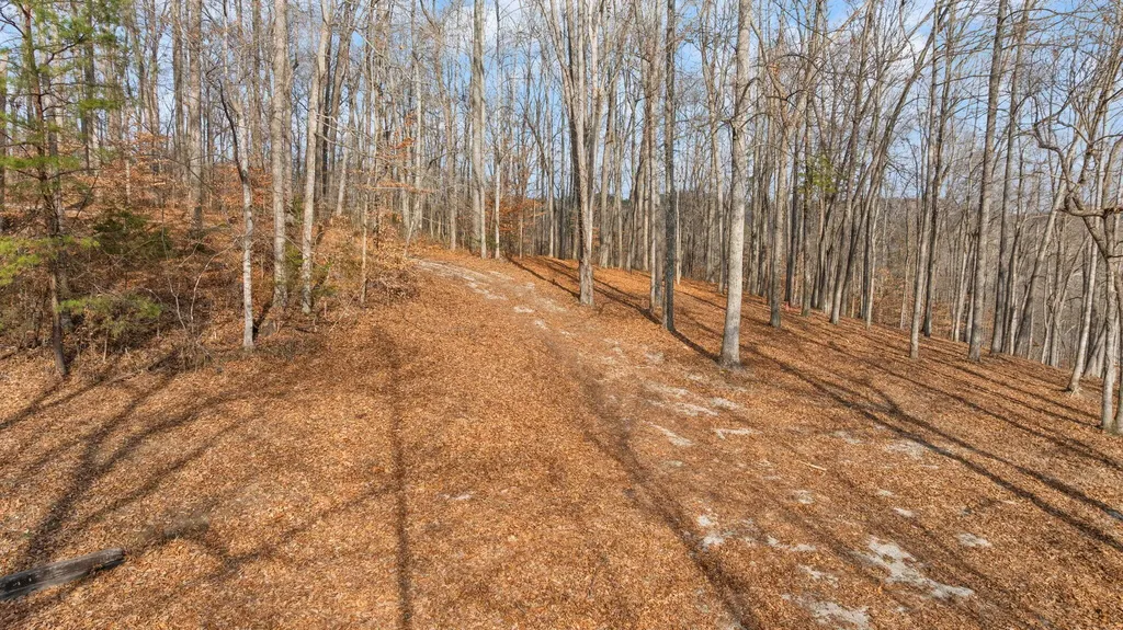 Tract 2 Highway 196 Nancy KY 42544