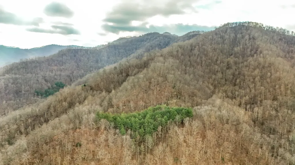 9999 Highway 3451 Harlan KY 40831