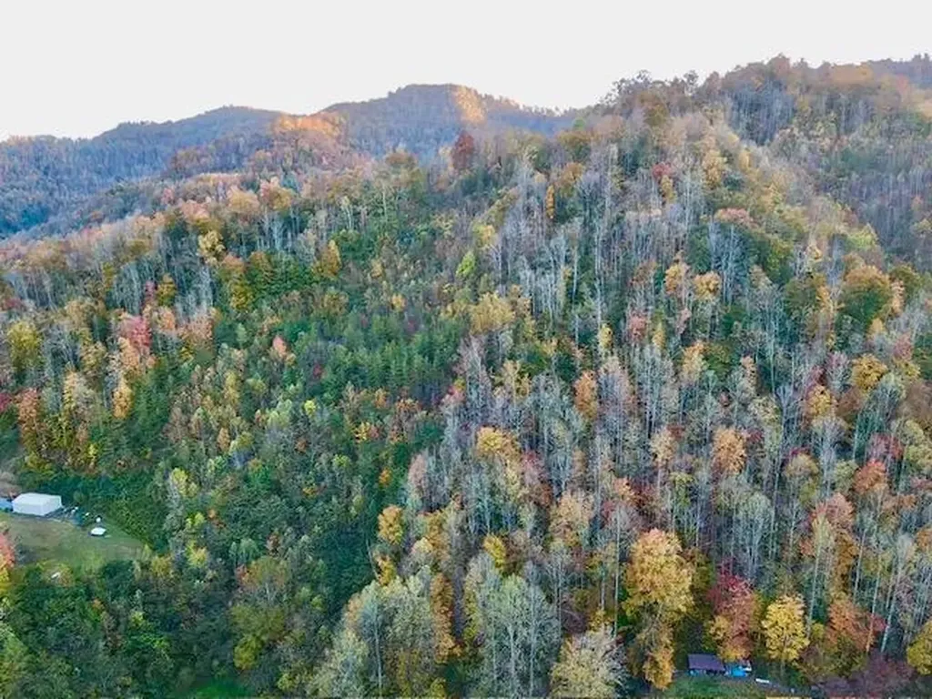 9999 Highway 3451 Harlan KY 40831
