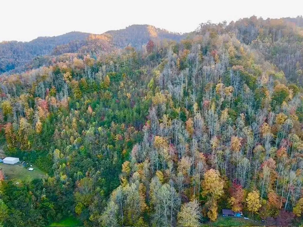 9999 Highway 3451 Harlan KY 40831