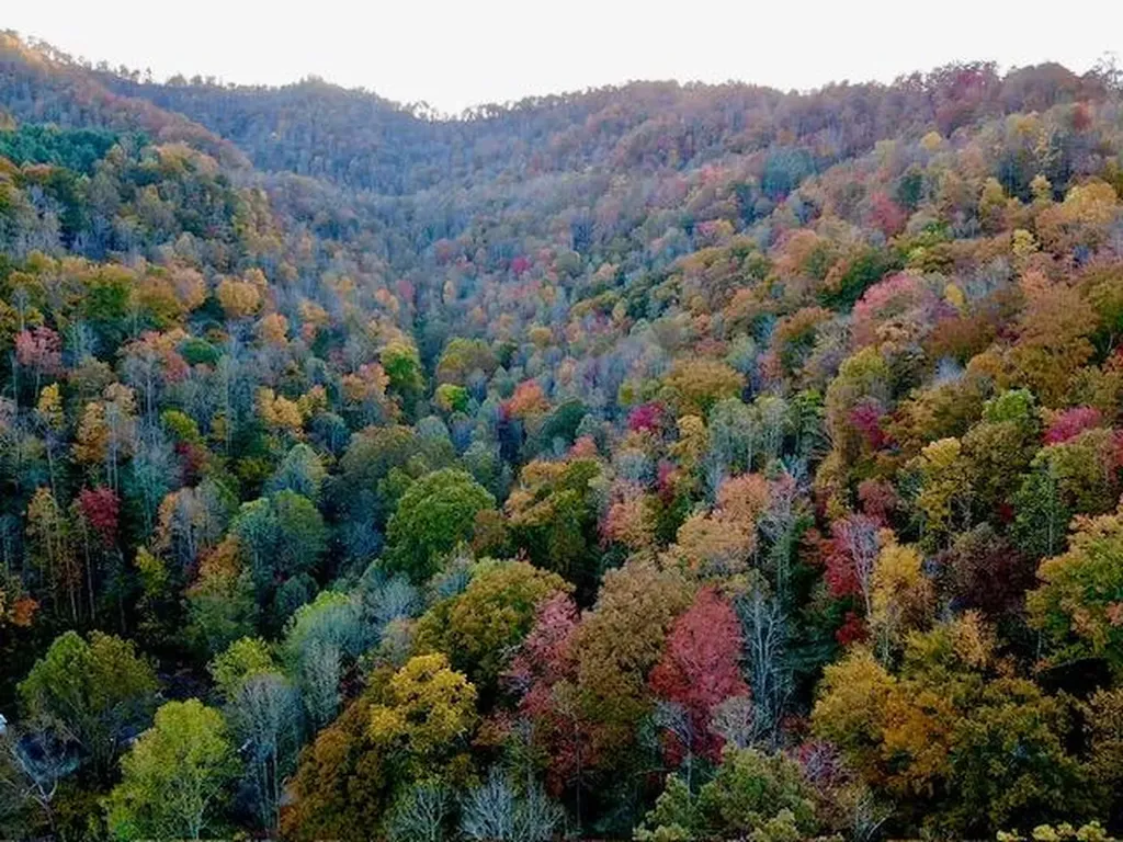 9999 Highway 3451 Harlan KY 40831