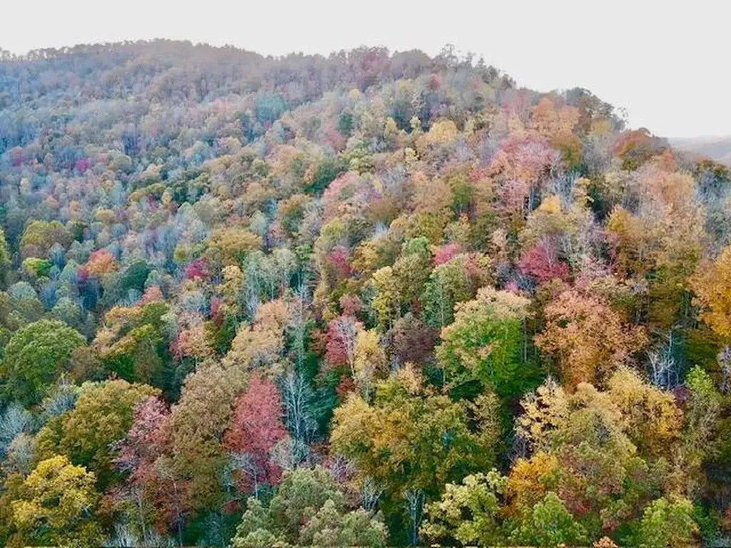 9999 Highway 3451 Harlan KY 40831