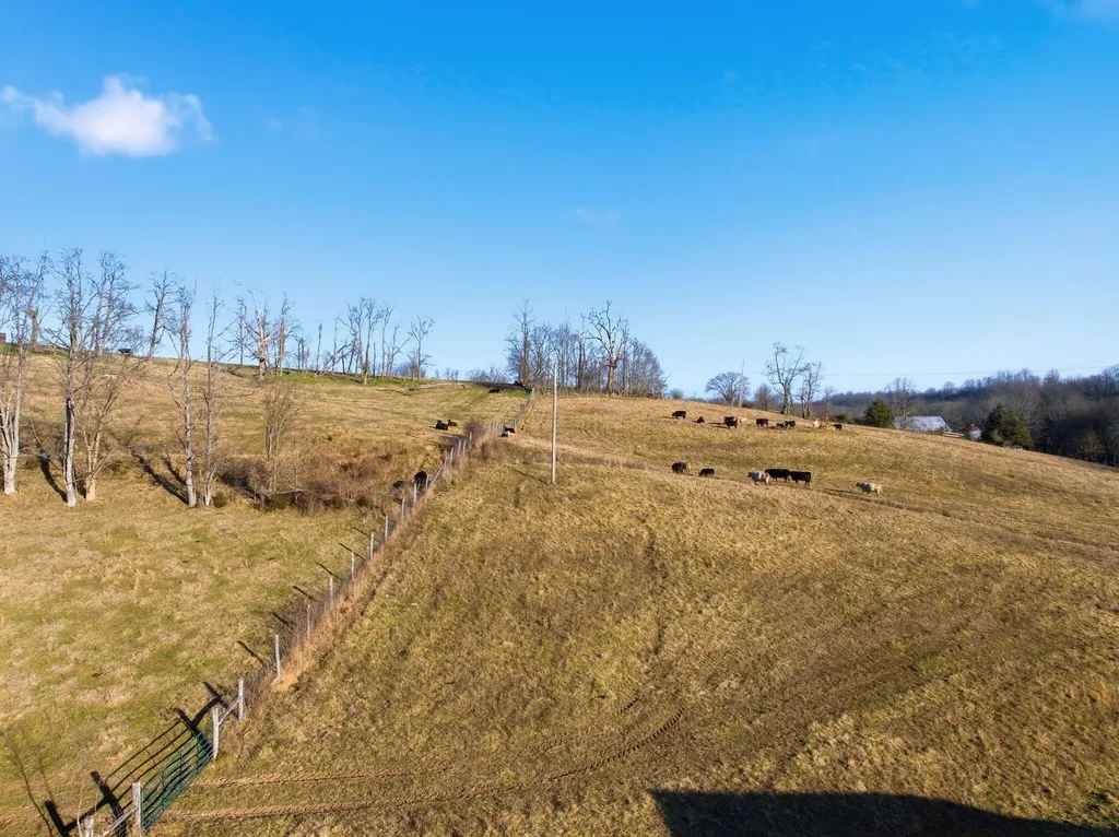 1699 Gillespie Road Carlisle KY 40311