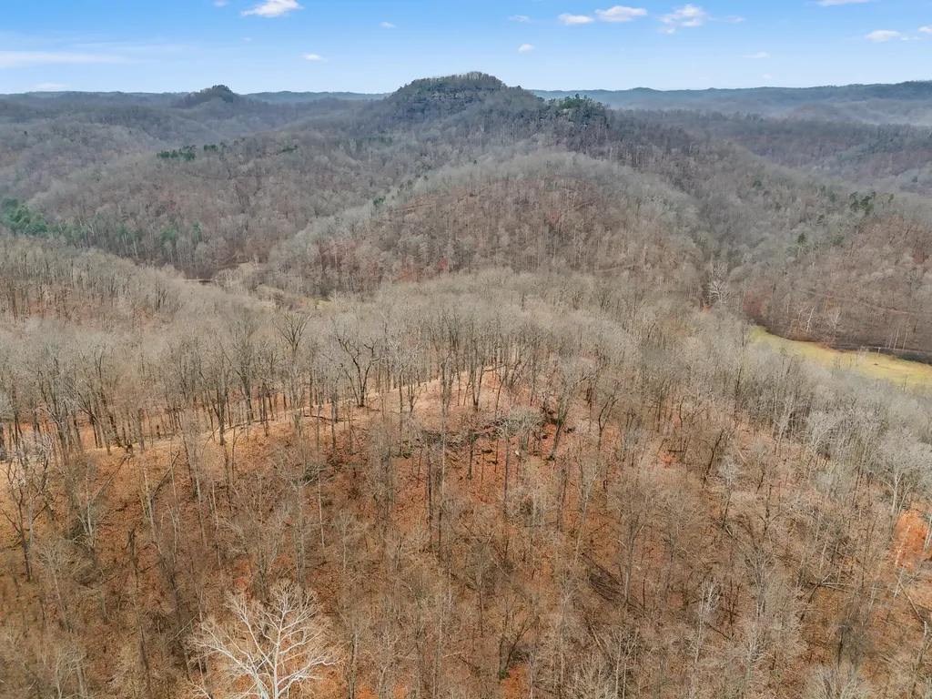 4558 Ky-36 Salt Lick KY 40371